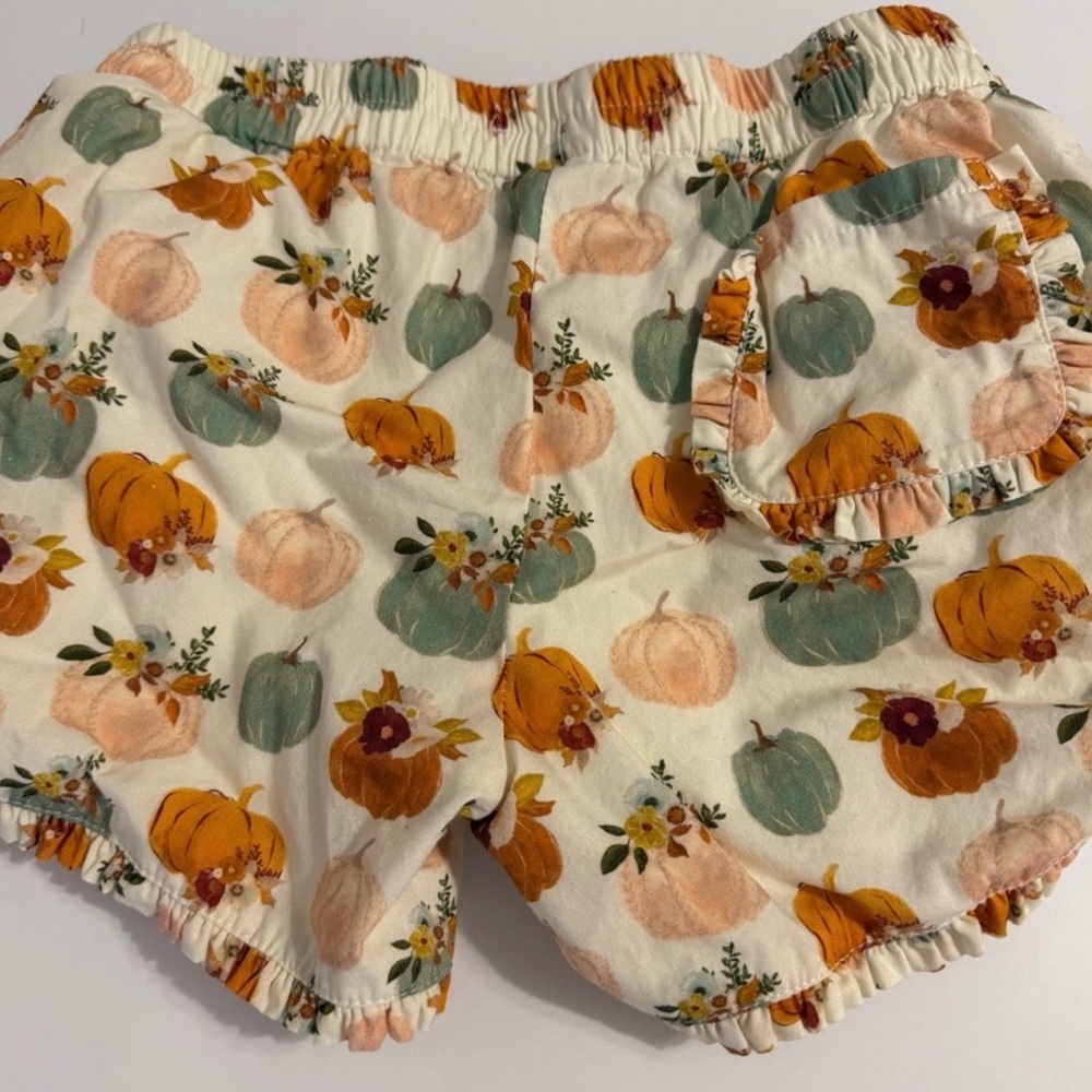 Love & Grow girl’s fall pumpkin tunic dress set size 7Y EUC - Picture 11 of 12